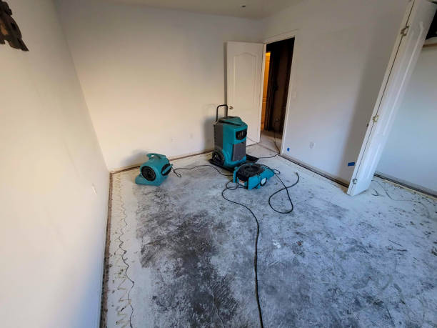 Best Flooded house restoration  in New Hyde Park, NY