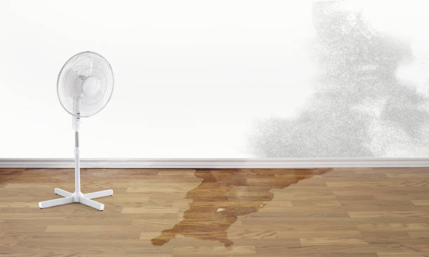 Best Water damage restoration near me  in New Hyde Park, NY