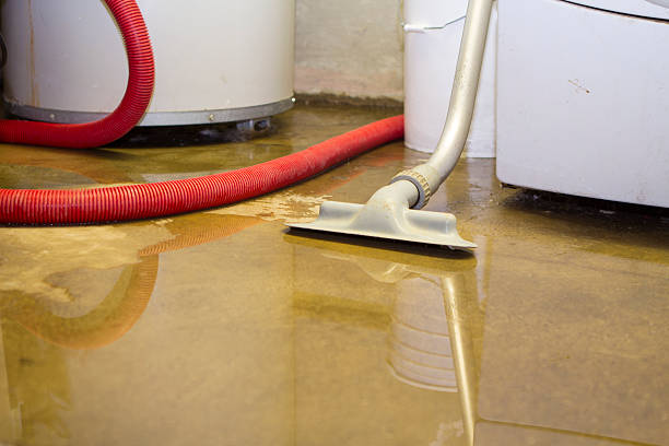 Best Water damage cleanup near me  in New Hyde Park, NY