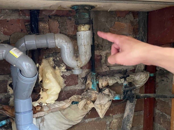 Best Water damage repair service  in New Hyde Park, NY