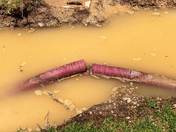 Best Carpet water damage restoration  in New Hyde Park, NY